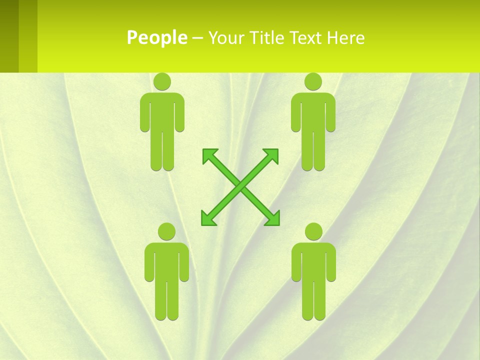 A Green Leaf Powerpoint Presentation PowerPoint Template