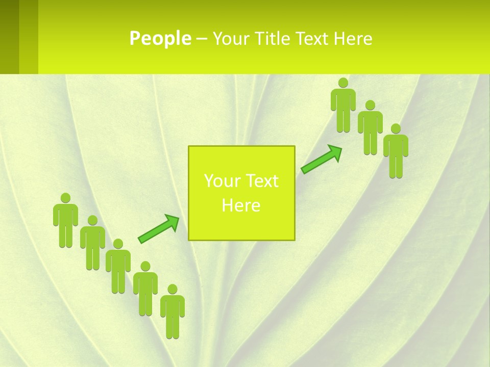 A Green Leaf Powerpoint Presentation PowerPoint Template