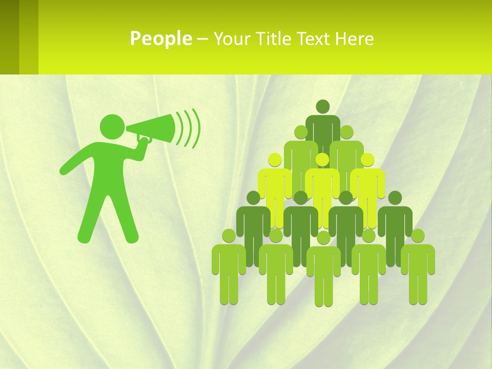 A Green Leaf Powerpoint Presentation PowerPoint Template