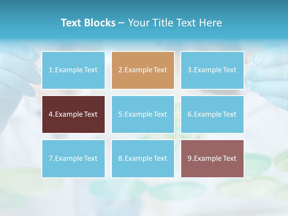 Two Men In Lab Coats Holding Test Tubes PowerPoint Template
