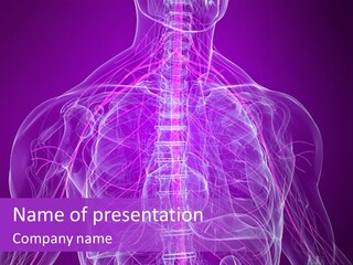 The Back Of A Human Body With A Purple Background PowerPoint Template