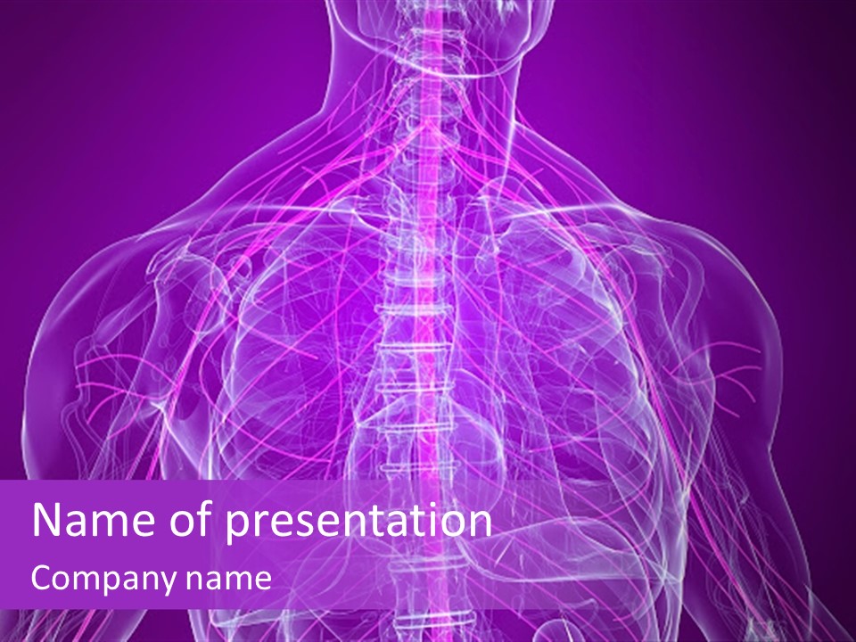 The Back Of A Human Body With A Purple Background PowerPoint Template