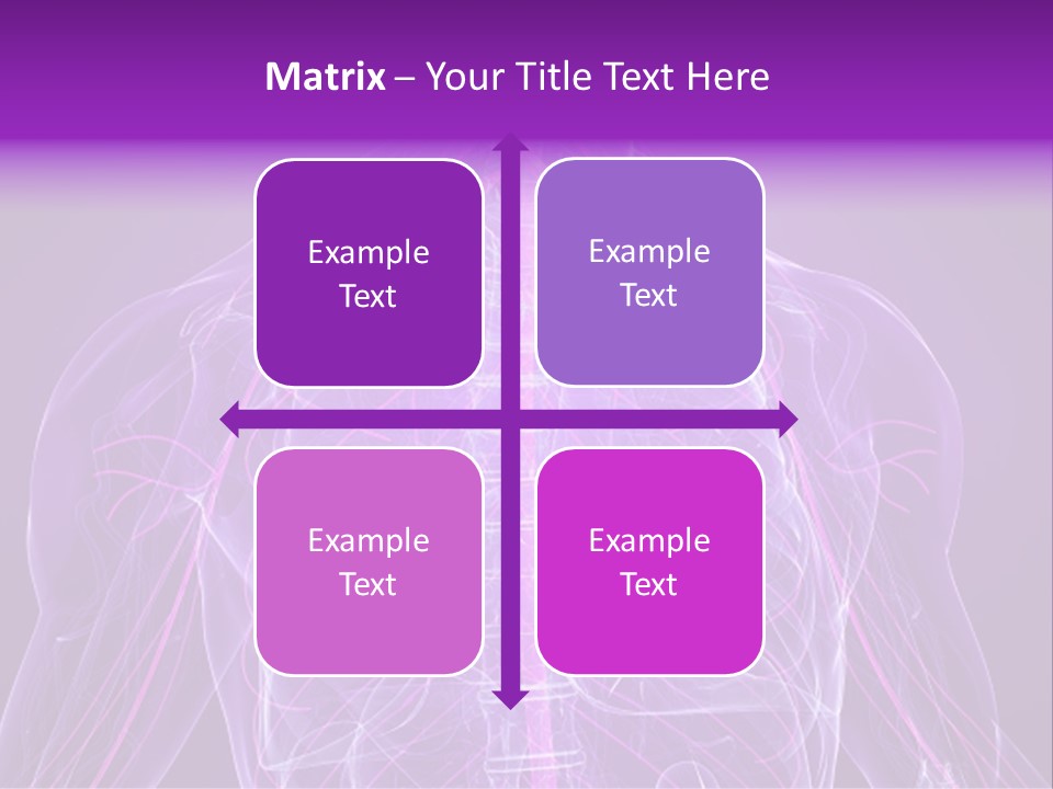 The Back Of A Human Body With A Purple Background PowerPoint Template