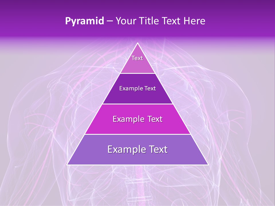 The Back Of A Human Body With A Purple Background PowerPoint Template