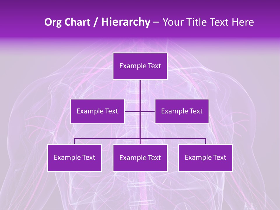 The Back Of A Human Body With A Purple Background PowerPoint Template