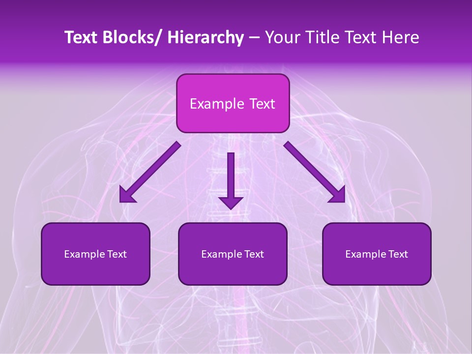 The Back Of A Human Body With A Purple Background PowerPoint Template