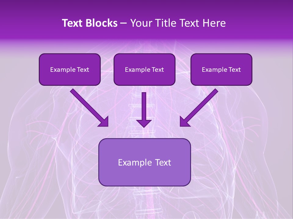 The Back Of A Human Body With A Purple Background PowerPoint Template