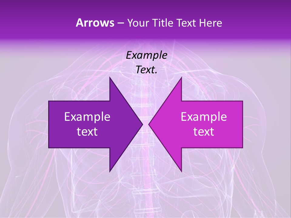 The Back Of A Human Body With A Purple Background PowerPoint Template