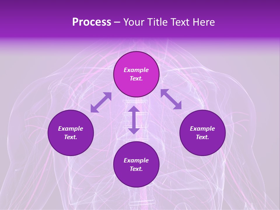 The Back Of A Human Body With A Purple Background PowerPoint Template