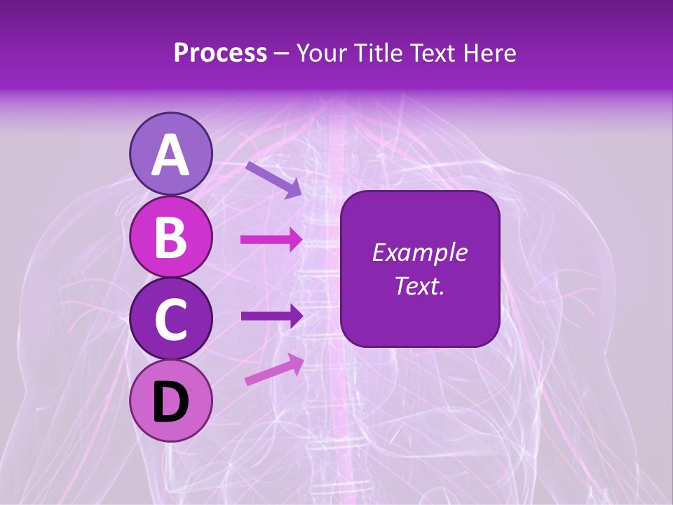 The Back Of A Human Body With A Purple Background PowerPoint Template