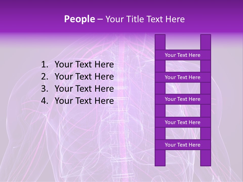 The Back Of A Human Body With A Purple Background PowerPoint Template