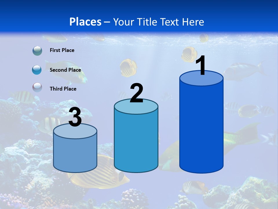 A Group Of Fish Swimming Over A Coral Reef PowerPoint Template