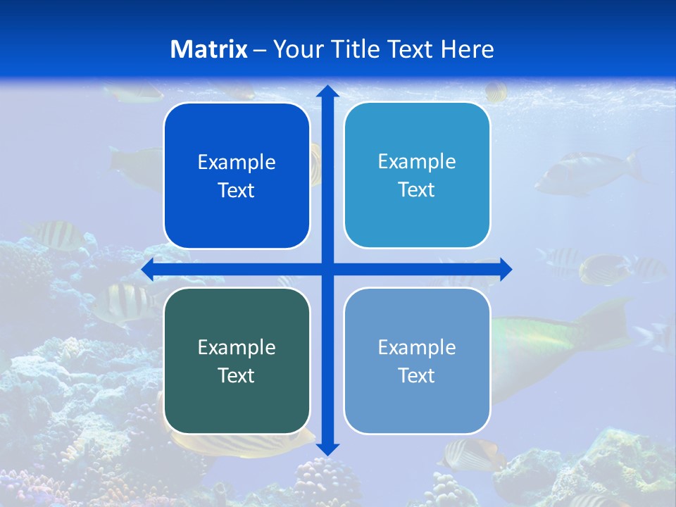 A Group Of Fish Swimming Over A Coral Reef PowerPoint Template