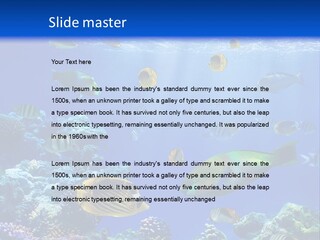 A Group Of Fish Swimming Over A Coral Reef PowerPoint Template