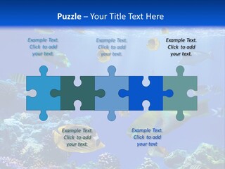 A Group Of Fish Swimming Over A Coral Reef PowerPoint Template
