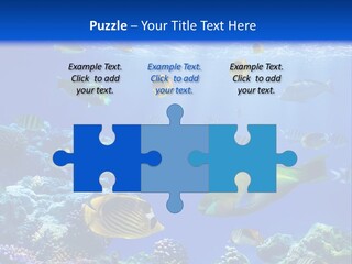 A Group Of Fish Swimming Over A Coral Reef PowerPoint Template