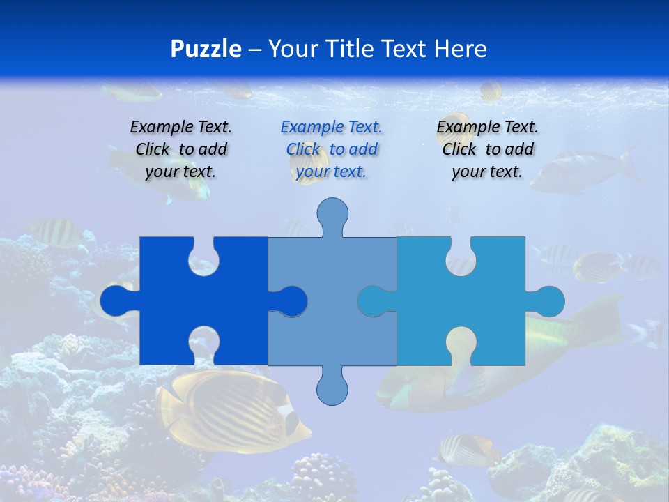 A Group Of Fish Swimming Over A Coral Reef PowerPoint Template