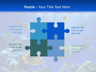 A Group Of Fish Swimming Over A Coral Reef PowerPoint Template