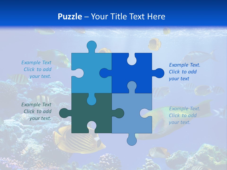 A Group Of Fish Swimming Over A Coral Reef PowerPoint Template