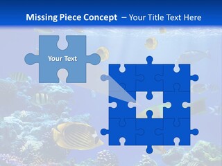 A Group Of Fish Swimming Over A Coral Reef PowerPoint Template