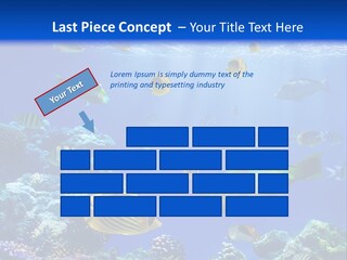 A Group Of Fish Swimming Over A Coral Reef PowerPoint Template