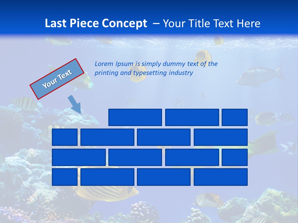 A Group Of Fish Swimming Over A Coral Reef PowerPoint Template