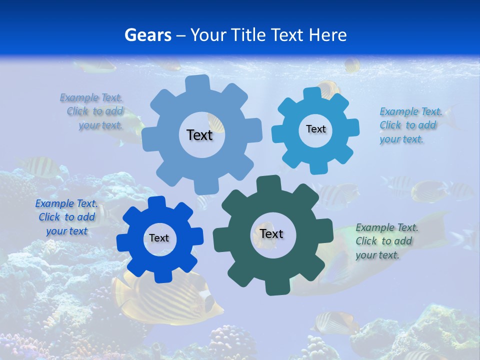 A Group Of Fish Swimming Over A Coral Reef PowerPoint Template