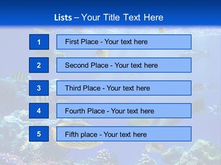 A Group Of Fish Swimming Over A Coral Reef PowerPoint Template