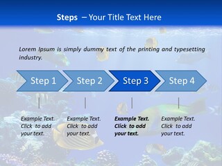 A Group Of Fish Swimming Over A Coral Reef PowerPoint Template