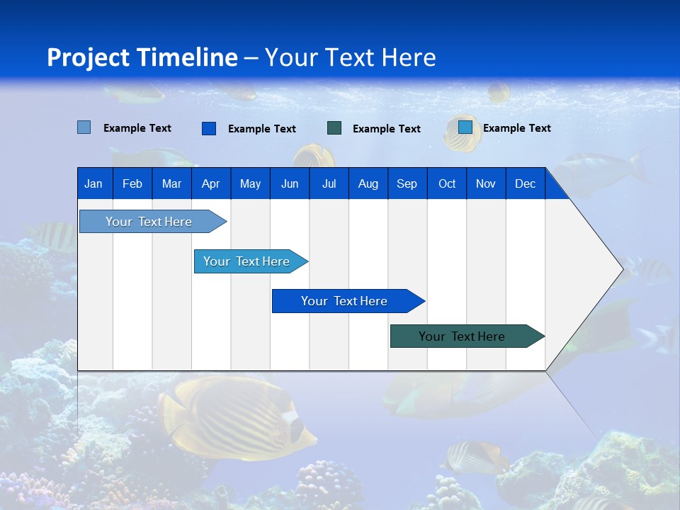 A Group Of Fish Swimming Over A Coral Reef PowerPoint Template