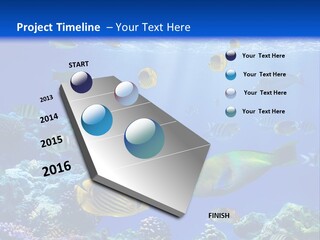 A Group Of Fish Swimming Over A Coral Reef PowerPoint Template