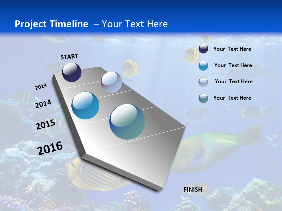 A Group Of Fish Swimming Over A Coral Reef PowerPoint Template