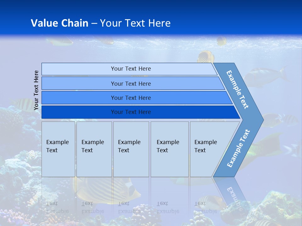 A Group Of Fish Swimming Over A Coral Reef PowerPoint Template