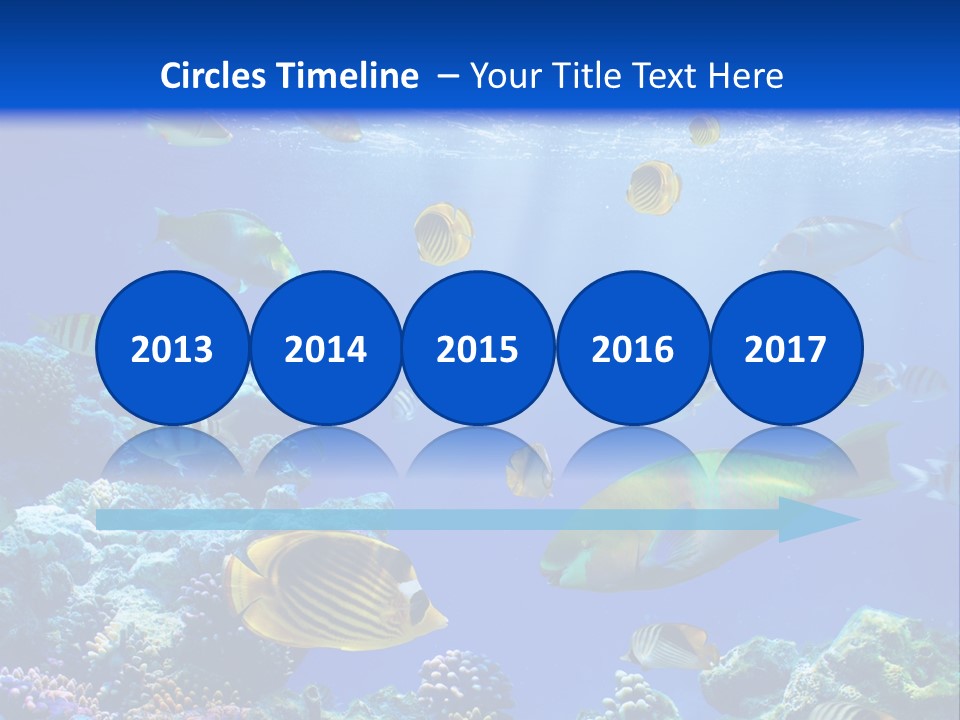 A Group Of Fish Swimming Over A Coral Reef PowerPoint Template