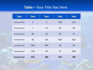 A Group Of Fish Swimming Over A Coral Reef PowerPoint Template