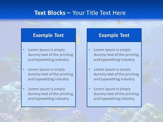 A Group Of Fish Swimming Over A Coral Reef PowerPoint Template
