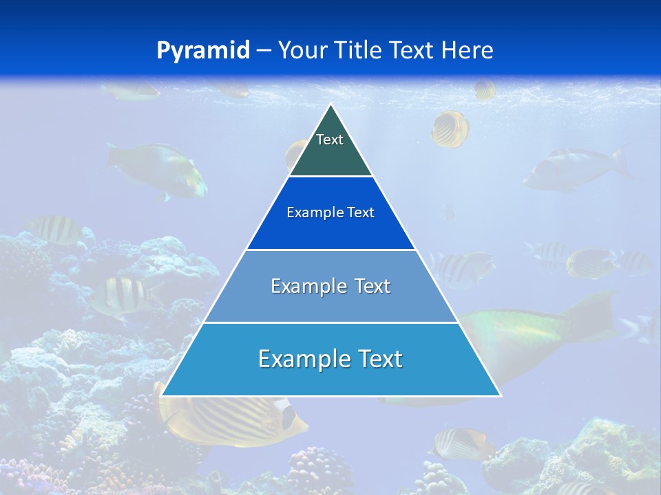 A Group Of Fish Swimming Over A Coral Reef PowerPoint Template
