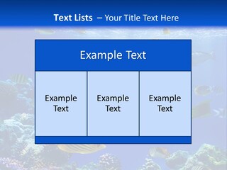A Group Of Fish Swimming Over A Coral Reef PowerPoint Template