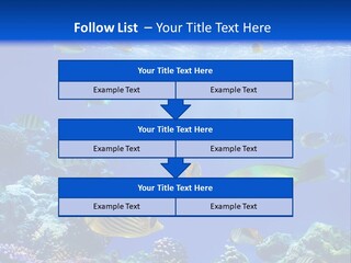 A Group Of Fish Swimming Over A Coral Reef PowerPoint Template