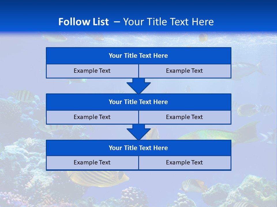 A Group Of Fish Swimming Over A Coral Reef PowerPoint Template