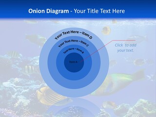 A Group Of Fish Swimming Over A Coral Reef PowerPoint Template