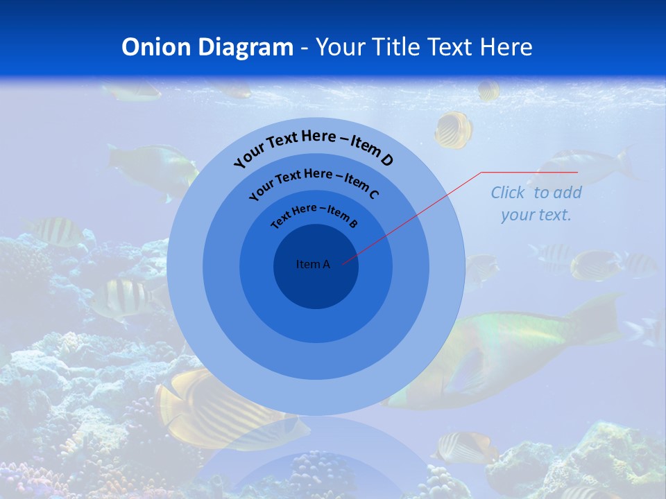 A Group Of Fish Swimming Over A Coral Reef PowerPoint Template