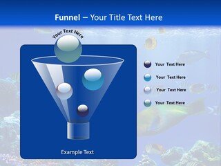 A Group Of Fish Swimming Over A Coral Reef PowerPoint Template