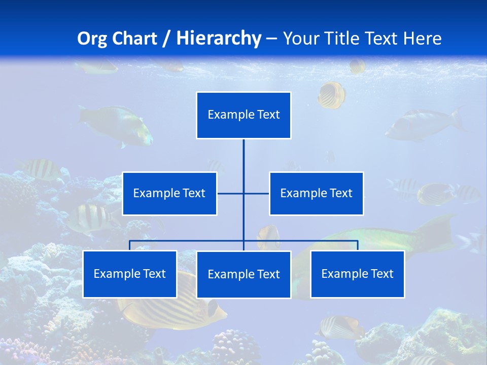 A Group Of Fish Swimming Over A Coral Reef PowerPoint Template