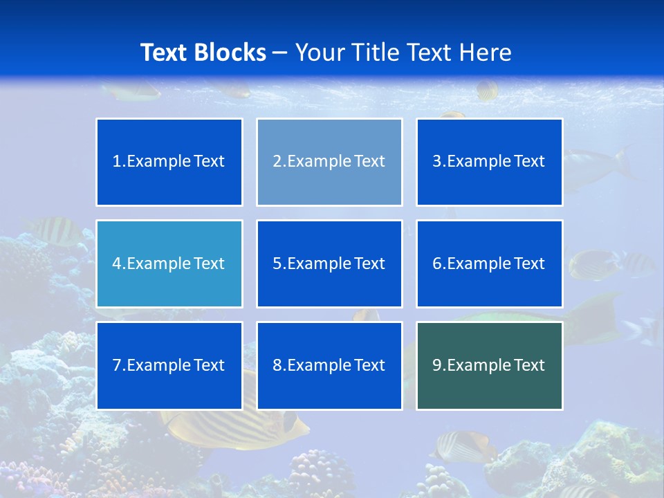 A Group Of Fish Swimming Over A Coral Reef PowerPoint Template