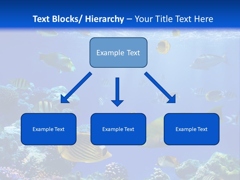 A Group Of Fish Swimming Over A Coral Reef PowerPoint Template