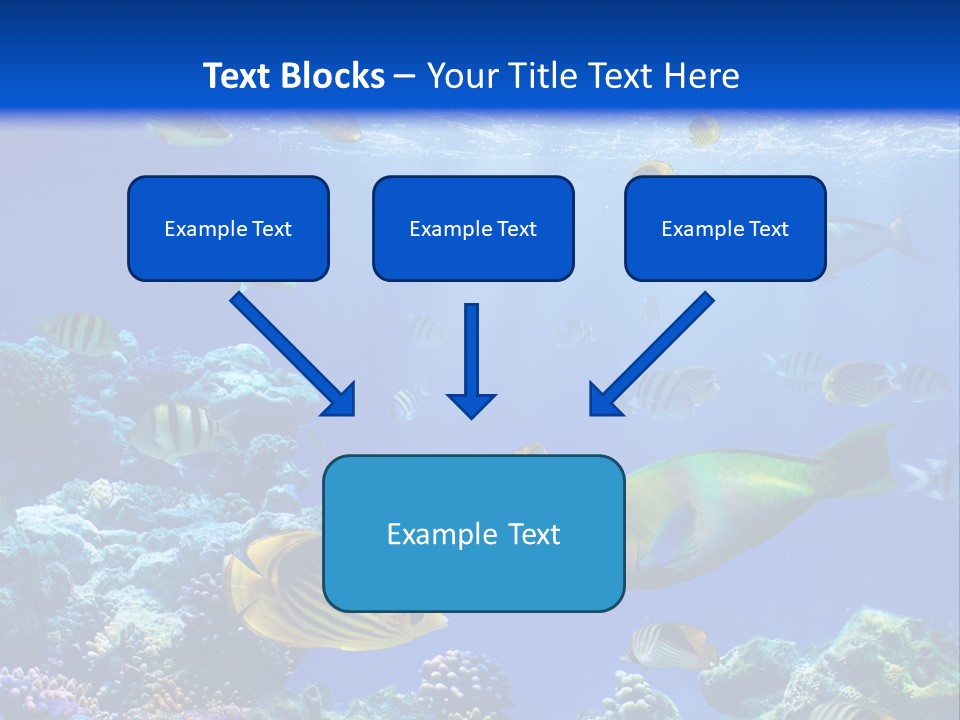A Group Of Fish Swimming Over A Coral Reef PowerPoint Template