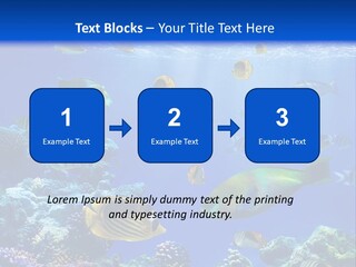A Group Of Fish Swimming Over A Coral Reef PowerPoint Template