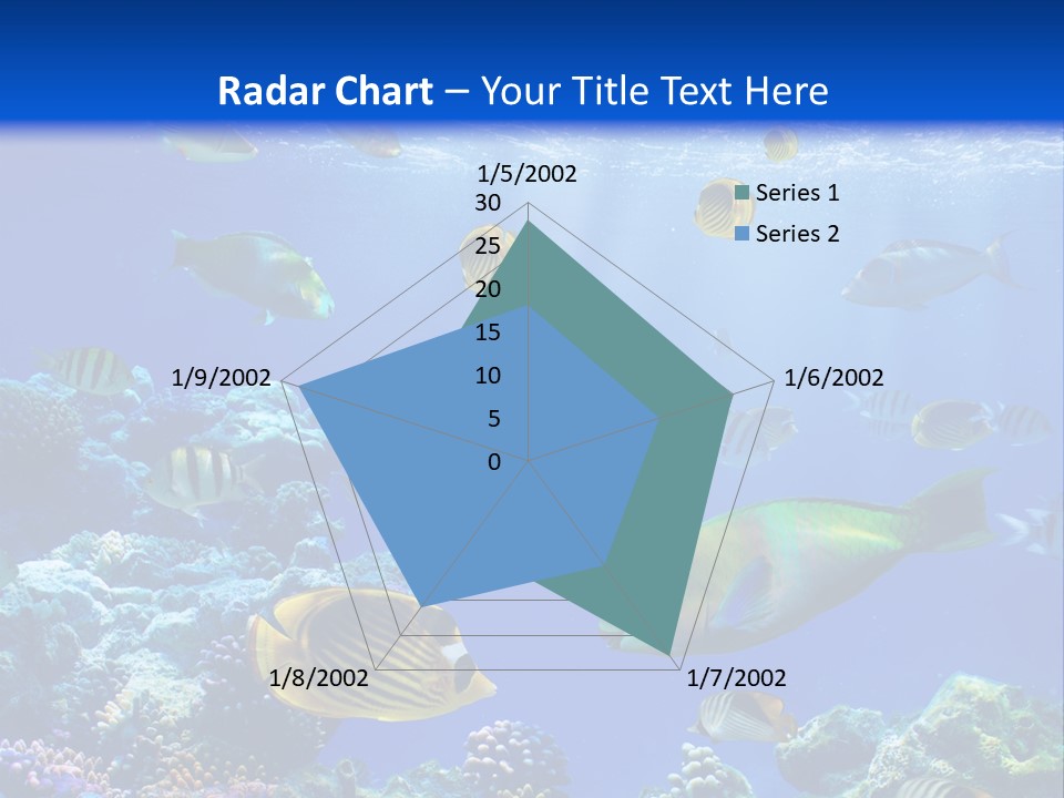 A Group Of Fish Swimming Over A Coral Reef PowerPoint Template