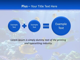 A Group Of Fish Swimming Over A Coral Reef PowerPoint Template